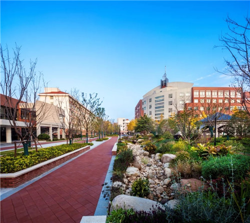 2019園冶杯專業獎丨合肥潤安公學景觀提升工程(一期)