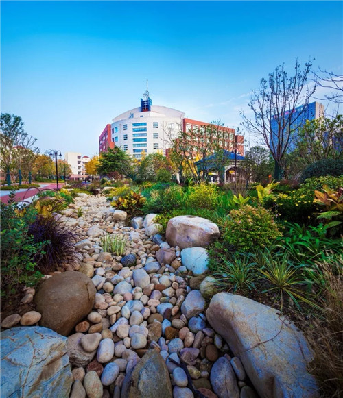 2019園冶杯專業獎丨合肥潤安公學景觀提升工程(一期)