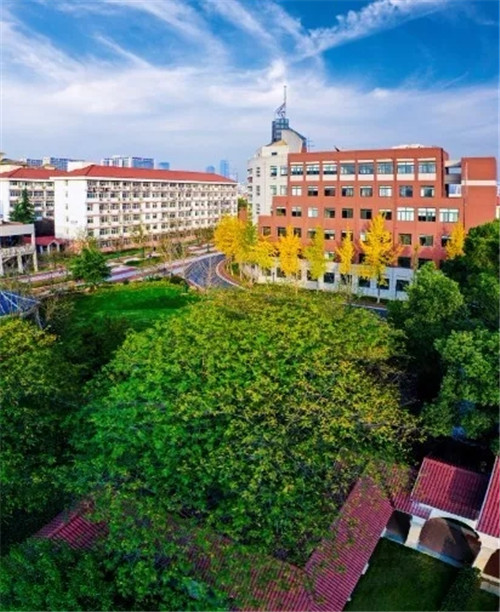 2019園冶杯專業獎丨合肥潤安公學景觀提升工程(一期)