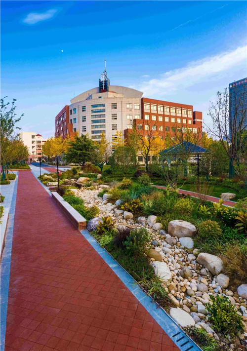 2019園冶杯專業獎丨合肥潤安公學景觀提升工程(一期)