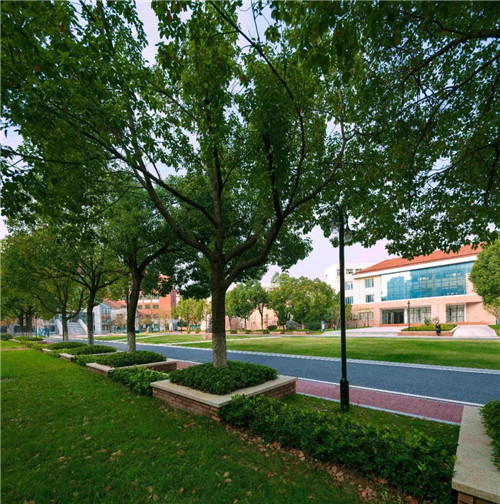 2019園冶杯專業獎丨合肥潤安公學景觀提升工程(一期)