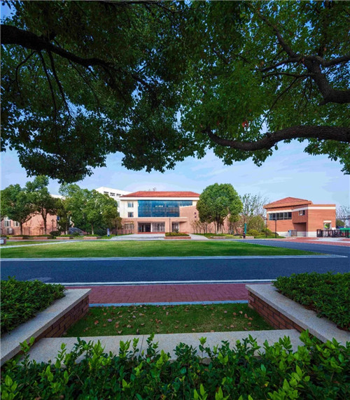 2019園冶杯專業獎丨合肥潤安公學景觀提升工程(一期)