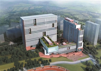 國際校區成香餑餑 創新設計層出不窮