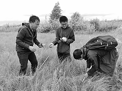 世園會鮮花盛開背后的自主創新