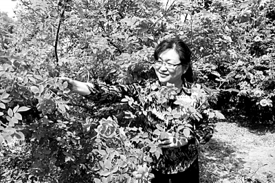 世園會鮮花盛開背后的自主創新