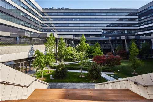 2019園冶杯專業獎丨聯想總部(北京)園區二期景觀設計