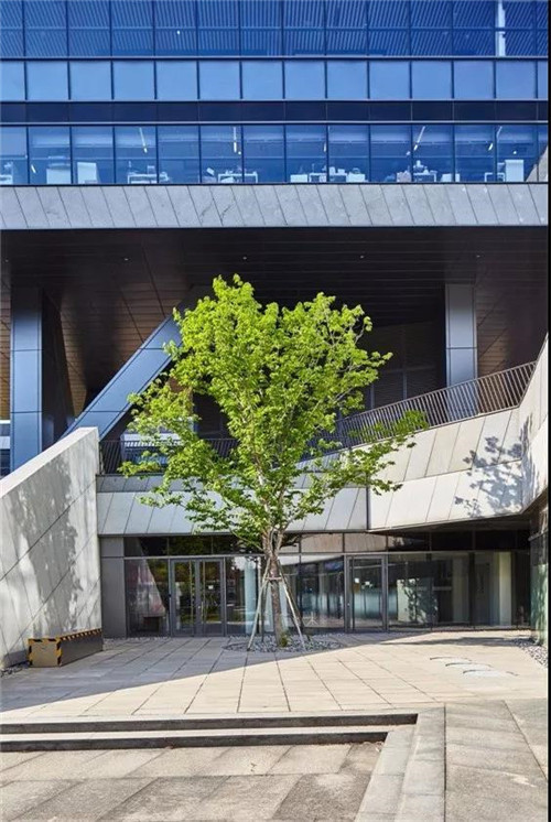 2019園冶杯專業獎丨聯想總部(北京)園區二期景觀設計