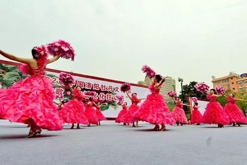 這一次，牡丹能當(dāng)上中國的國花嗎？