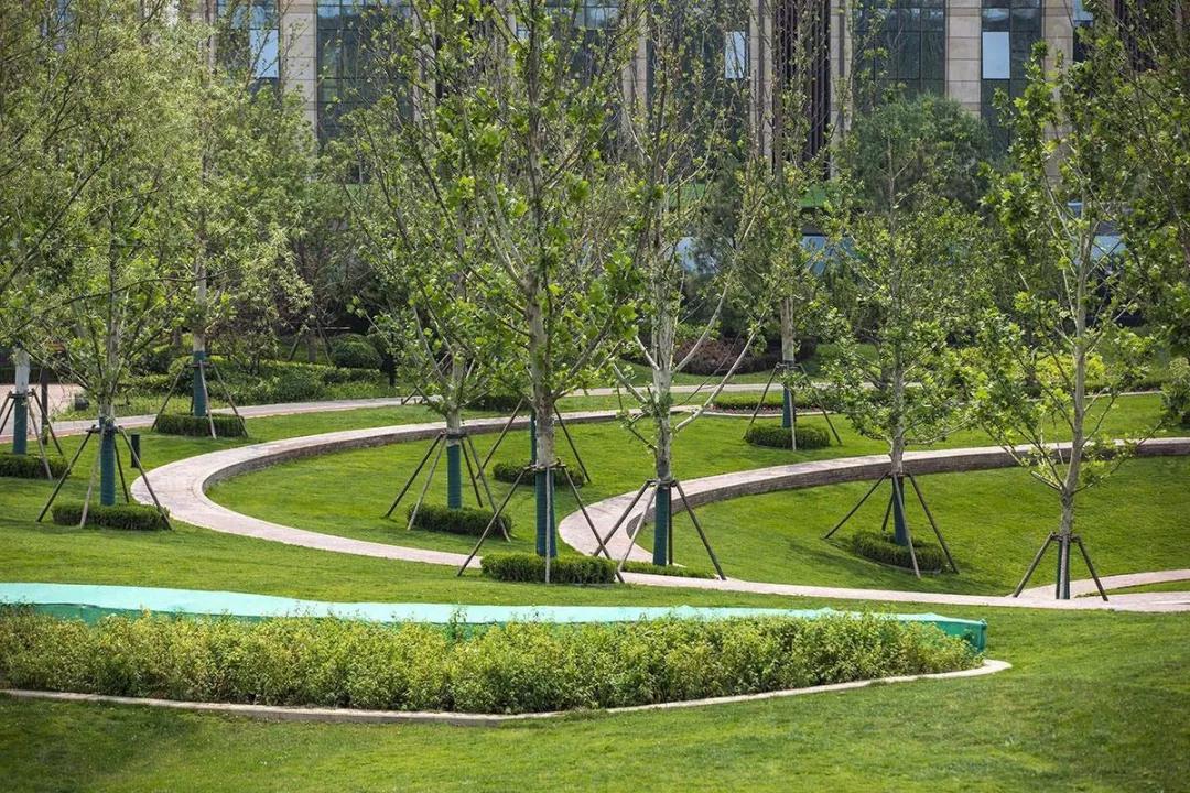 2019園冶杯專業獎丨和?！ど袓o壹號·海德公園