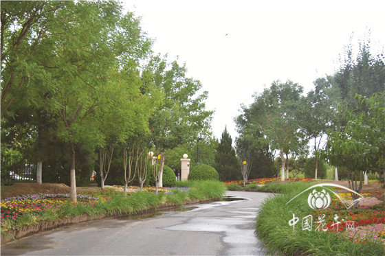 采沙場上崛起的首都“后花園” 記北京昌平新城濱河森林公園