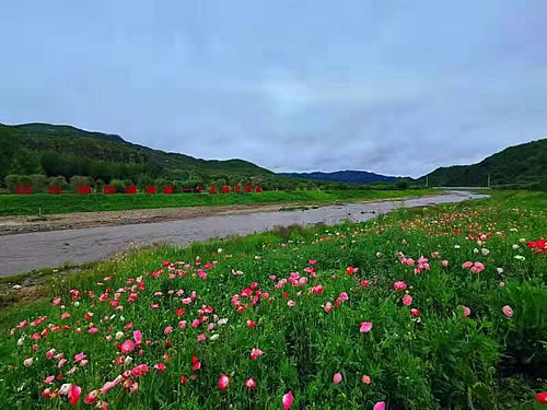 河北承德圍場生態治理繪就美麗鄉村新畫卷