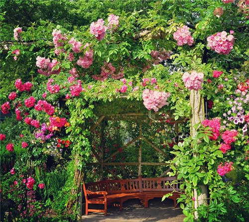 礦坑公園,讓大地傷疤涅槃重生