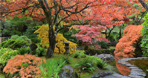 礦坑公園,讓大地傷疤涅槃重生
