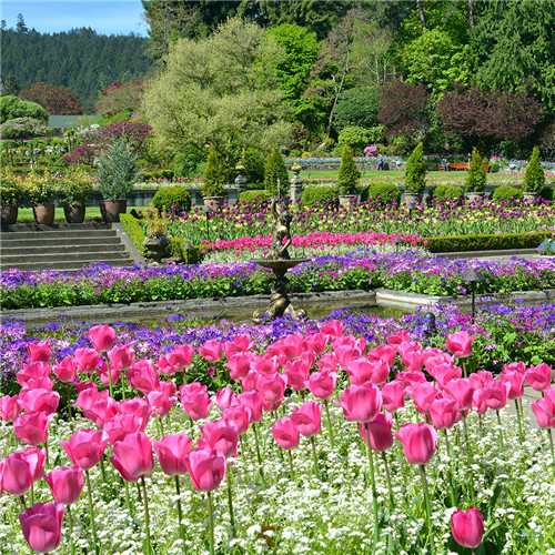 礦坑公園,讓大地傷疤涅槃重生