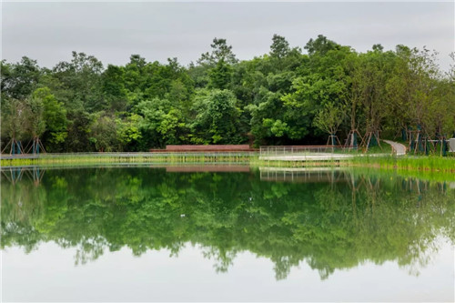 礦坑公園,讓大地傷疤涅槃重生