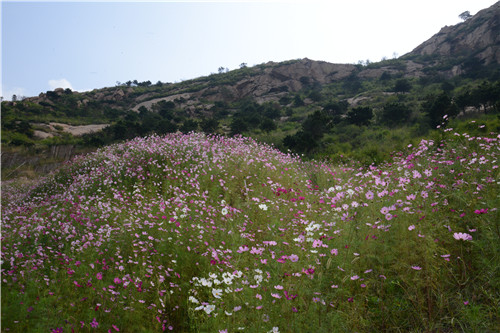 易蘭設(shè)計(jì)|秦皇島昌黎葡萄小鎮(zhèn)礦坑公園