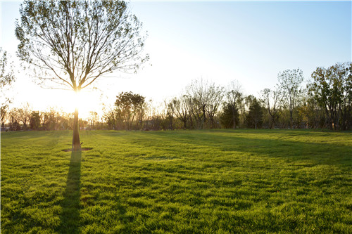 易蘭設(shè)計(jì)|秦皇島昌黎葡萄小鎮(zhèn)礦坑公園