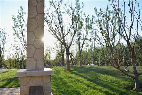 易蘭設(shè)計(jì)|秦皇島昌黎葡萄小鎮(zhèn)礦坑公園