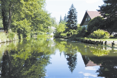 恢復(fù)森林和景觀 是改善土地狀況的重要手段