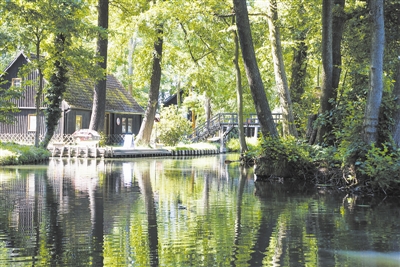 恢復(fù)森林和景觀 是改善土地狀況的重要手段