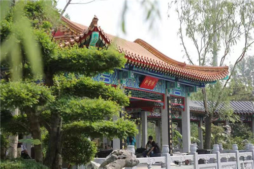 2019中國北京世園會“山東省日”活動持續發熱