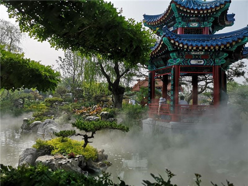 2019中國北京世園會“山東省日”活動持續發熱