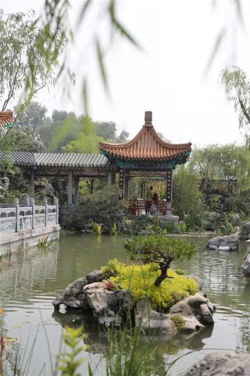 2019中國北京世園會“山東省日”活動持續發熱