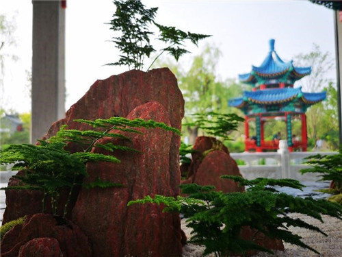 2019中國北京世園會“山東省日”活動持續發熱