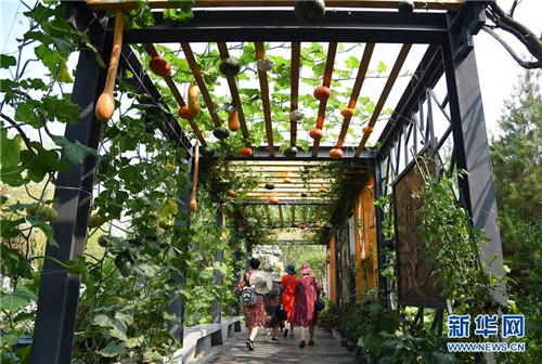 2019中國北京世園會“山東省日”活動持續發熱