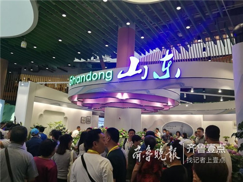 2019中國北京世園會“山東省日”活動持續發熱