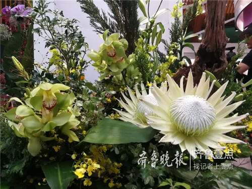 2019中國北京世園會“山東省日”活動持續發熱