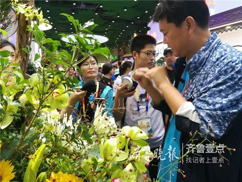 2019中國北京世園會“山東省日”活動持續發熱