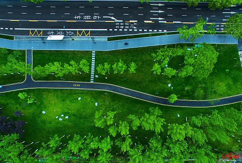 參觀成都規劃館，外籍規劃專家感慨：東部新城令人震撼