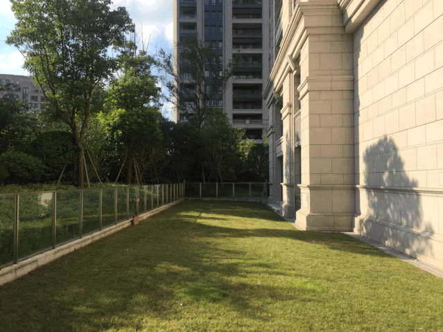 花園設(shè)計|色彩不冷不符合你的性格