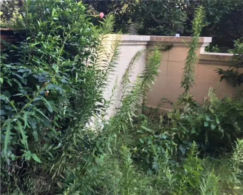 復地御西郊|山長水闊知何處