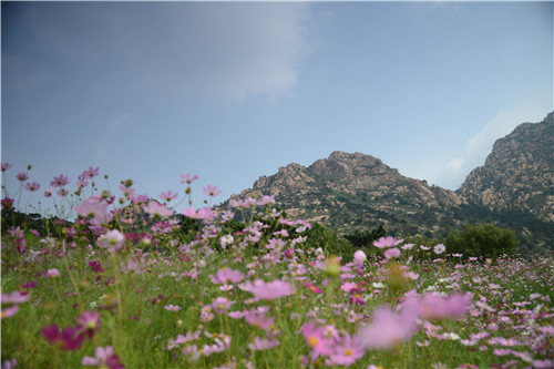 礦坑公園,讓大地傷疤涅槃重生