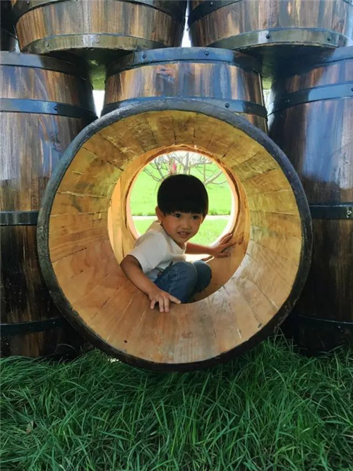 礦坑公園,讓大地傷疤涅槃重生