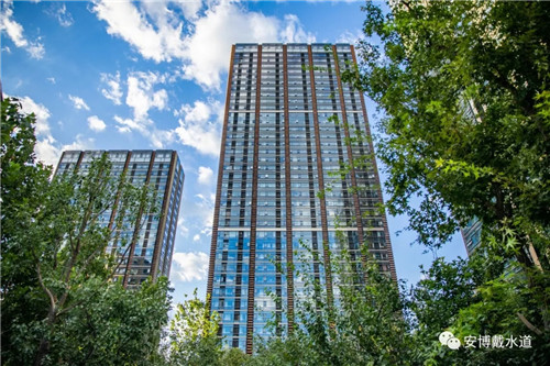 Ramboll Share | 國銳金嵿生態公園社區-環境友好型景觀設計與雨洪管理實踐