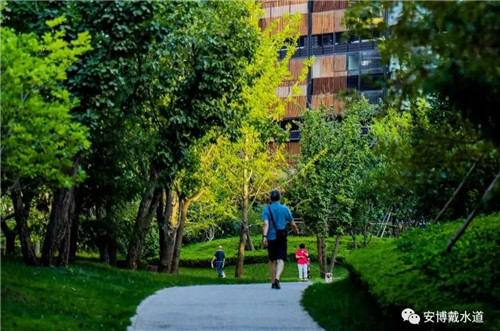 Ramboll Share | 國銳金嵿生態公園社區-環境友好型景觀設計與雨洪管理實踐