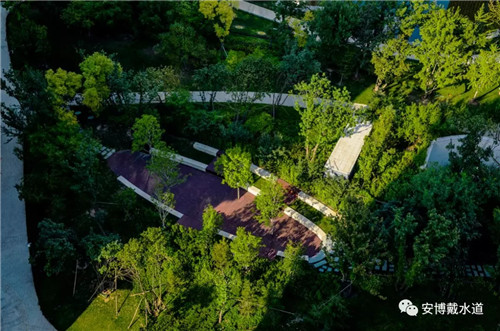 Ramboll Share | 國銳金嵿生態公園社區-環境友好型景觀設計與雨洪管理實踐