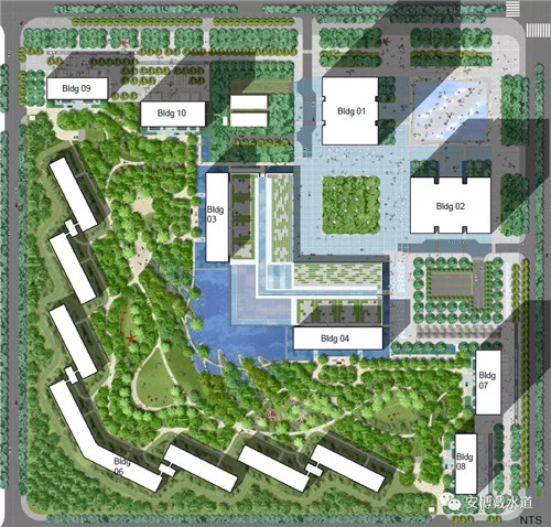 Ramboll Share | 國銳金嵿生態公園社區-環境友好型景觀設計與雨洪管理實踐