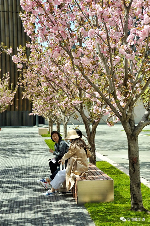 Ramboll Share | 國銳金嵿生態公園社區-環境友好型景觀設計與雨洪管理實踐