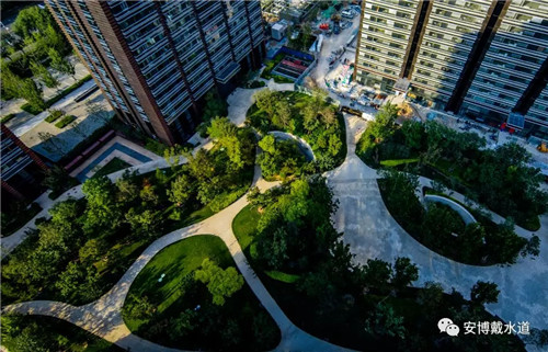 Ramboll Share | 國銳金嵿生態公園社區-環境友好型景觀設計與雨洪管理實踐