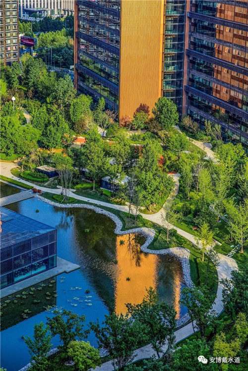 Ramboll Share | 國銳金嵿生態公園社區-環境友好型景觀設計與雨洪管理實踐