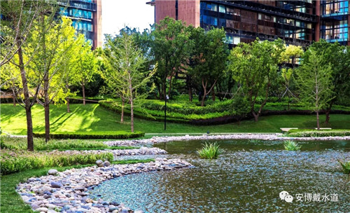 Ramboll Share | 國銳金嵿生態公園社區-環境友好型景觀設計與雨洪管理實踐