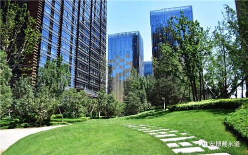 Ramboll Share | 國銳金嵿生態公園社區-環境友好型景觀設計與雨洪管理實踐