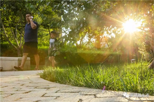 Ramboll Share | 國銳金嵿生態公園社區-環境友好型景觀設計與雨洪管理實踐