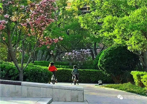 Ramboll Share | 國銳金嵿生態公園社區-環境友好型景觀設計與雨洪管理實踐