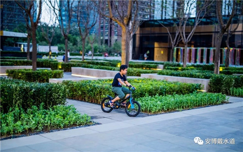 Ramboll Share | 國銳金嵿生態公園社區-環境友好型景觀設計與雨洪管理實踐