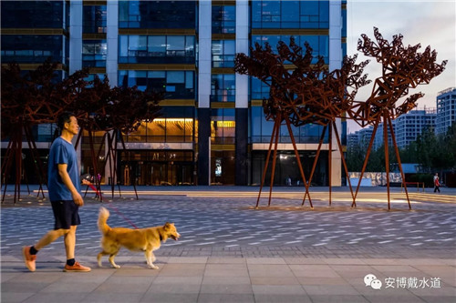 Ramboll Share | 國銳金嵿生態公園社區-環境友好型景觀設計與雨洪管理實踐